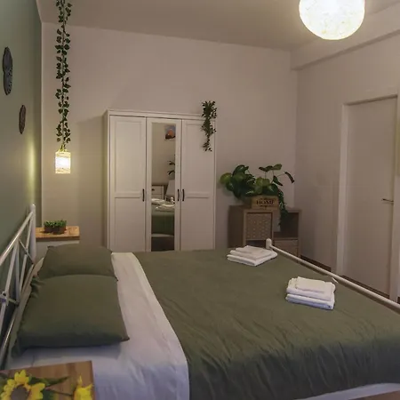 Sunny's House